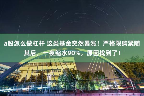 a股怎么做杠杆 这类基金突然暴涨！严格限购紧随其后，一夜缩水90%，原因找到了！