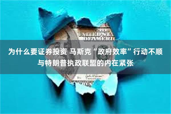 为什么要证券投资 马斯克“政府效率”行动不顺与特朗普执政联盟的内在紧张