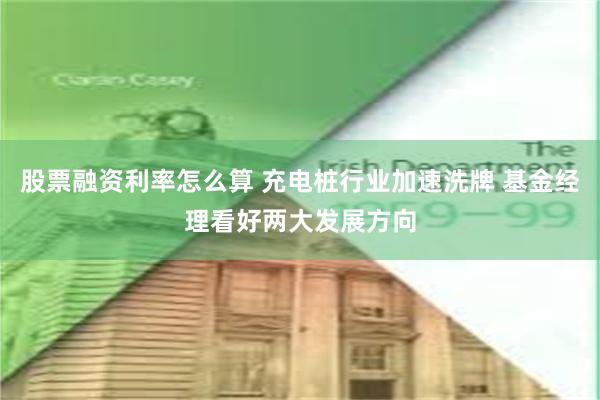 股票融资利率怎么算 充电桩行业加速洗牌 基金经理看好两大发展方向