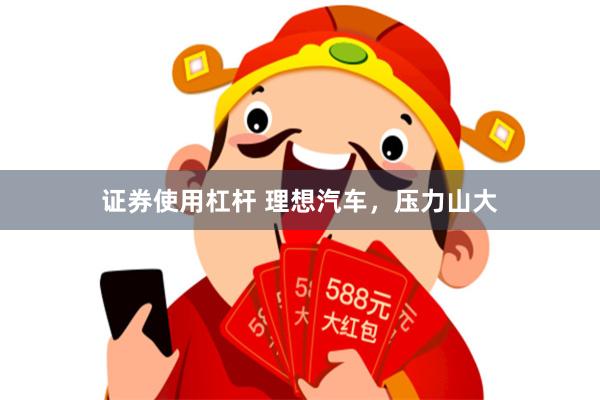 证券使用杠杆 理想汽车，压力山大