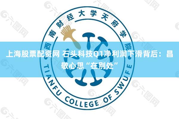 上海股票配资网 石头科技Q1净利润下滑背后：昌敬心思“在别处”
