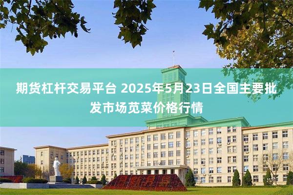 期货杠杆交易平台 2025年5月23日全国主要批发市场苋菜价格行情