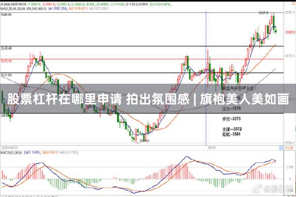 股票杠杆在哪里申请 拍出氛围感 | 旗袍美人美如画