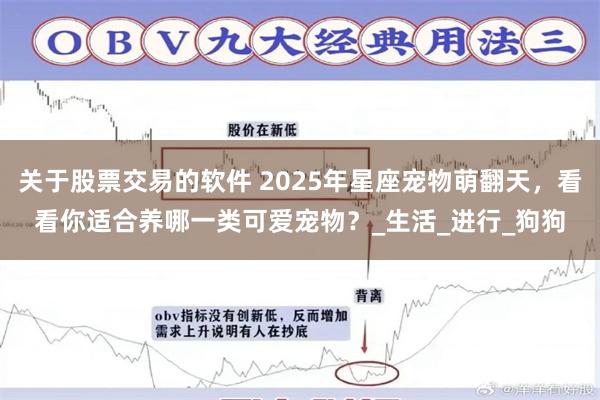 关于股票交易的软件 2025年星座宠物萌翻天，看看你适合养哪一类可爱宠物？_生活_进行_狗狗